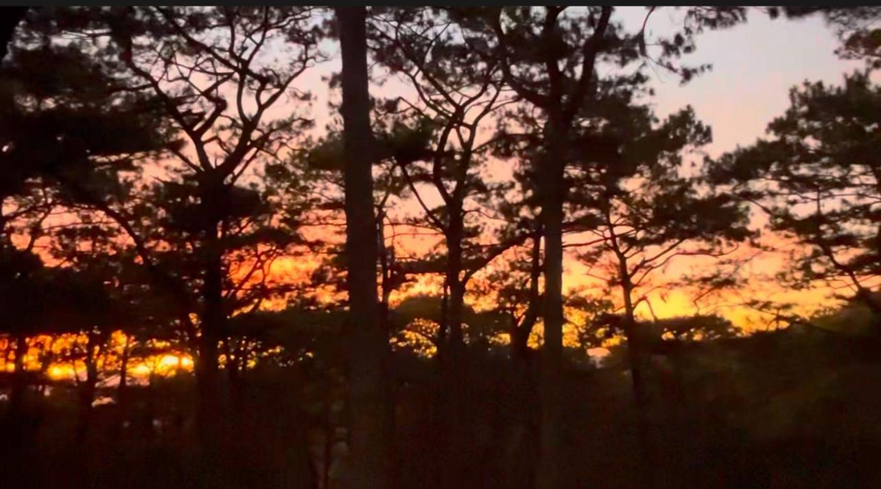 Campjohnhay Forest Estate Baguio City Dış mekan fotoğraf